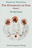 Experience Of God by Staniloae - 6 Volume set - Theological Studies - Christian Life Books - Multiple Book Discounts