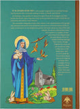 Islands of the Ocean: Stories from the lives of the Celtic saints - Childrens Book