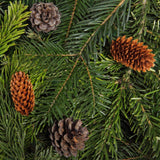 Evergreen & Embers Incense Orthodox Christian Incense