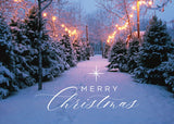 Merry Christmas (2025), pack of 15 Christmas cards