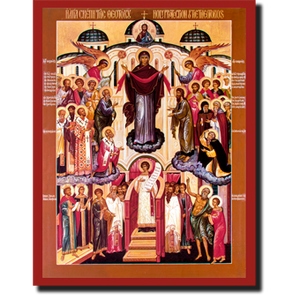 Orthodox Icons Theotokos  Holy Protection Icon