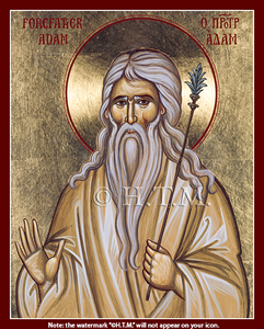 Orthodox Icon Our Forefather Adam - Saint Adam