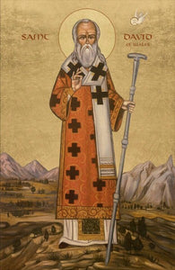 Orthodox Icon Saint David of Wales